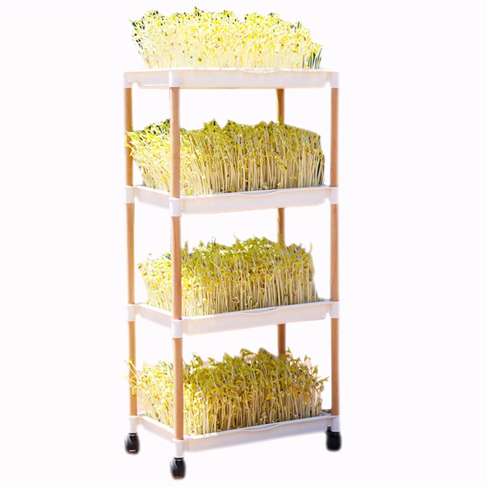 Amazon.co.jp: Pingle 育苗ポット スプラウト 栽培キット もやし